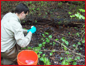 Titanium Environmental Services