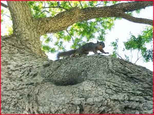Bossier Chamber Golf Classic