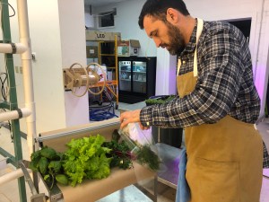 Michael Billings making Salad from Cotton Street Farm