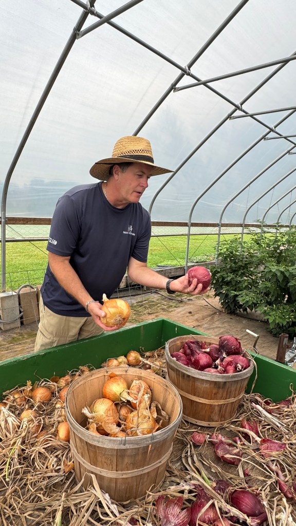 Lee Dutoce showing onions inside the greenhouse at Raccoon Bend Farms.