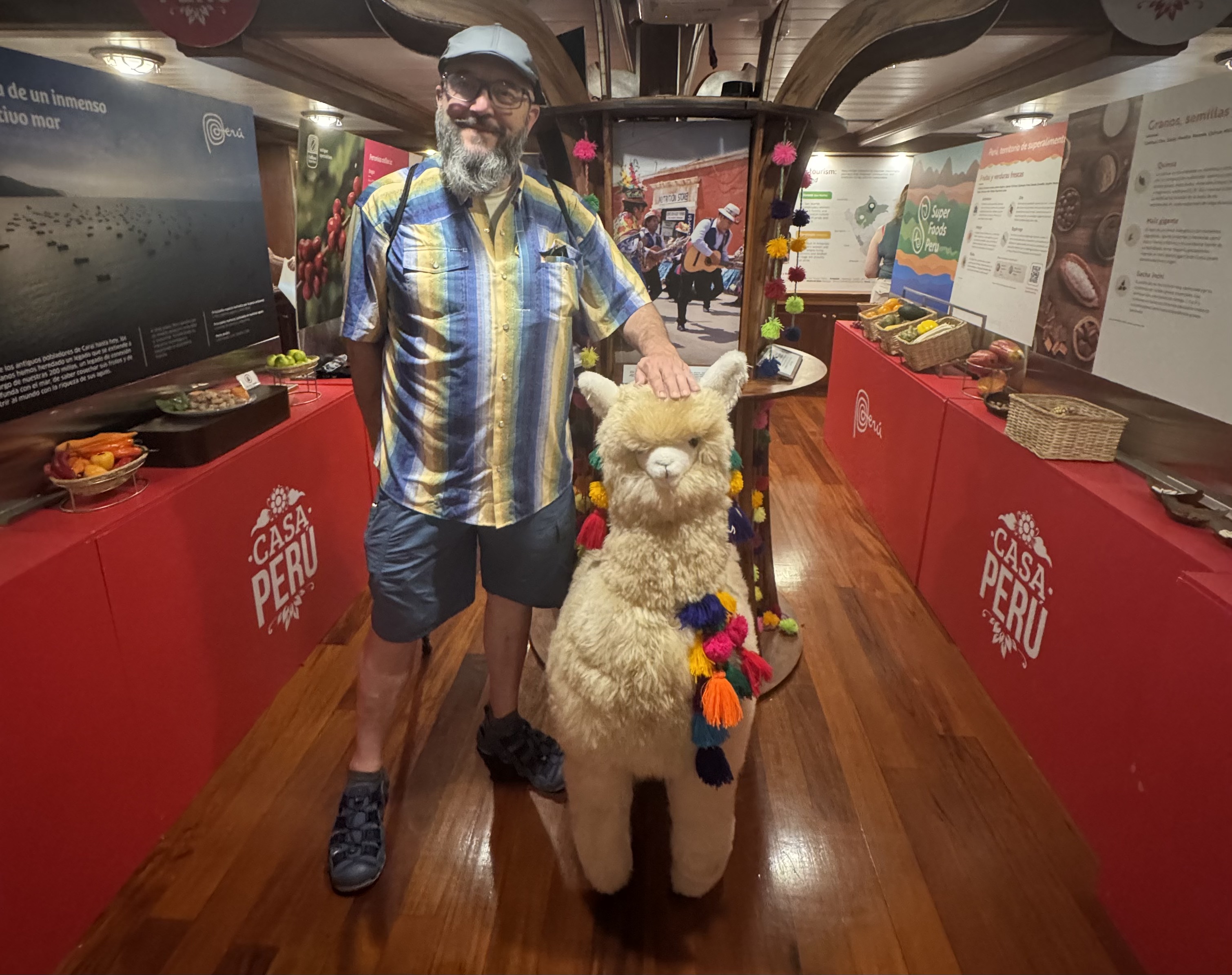 A man with a full size alpaca stuffy