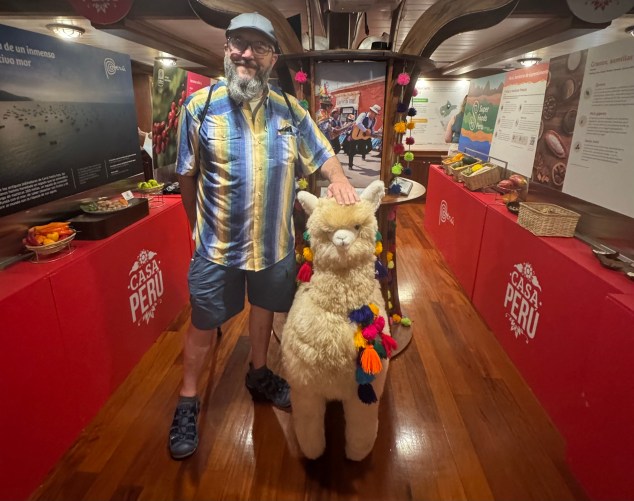A man with a full size alpaca stuffy