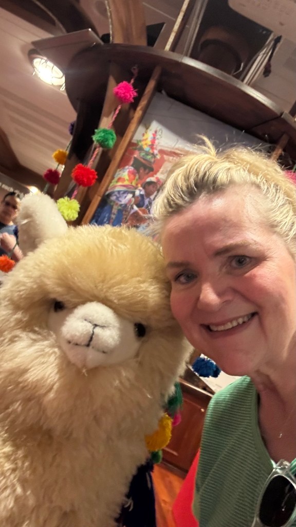a woman taking a selfie with an alpaca stuffy
